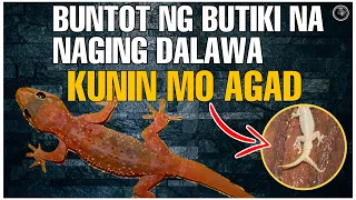 BUNTOT NG BUTIKI NA NAGING DALAWA ISANG MABISANG PAMPASWERTE SA NEGOSYO | Bhes Tv