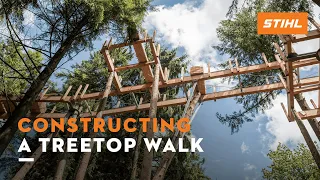 Discover STIHL: Constructing a treetop walk | STIHL