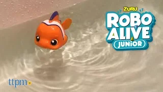 Robo Alive Junior Little Fish from Zuru