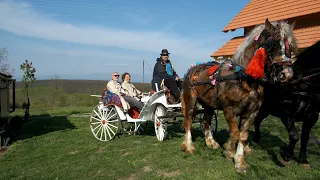 La Ineu, cu trasura de la Conac spre Dealul Viilor !