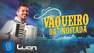 Luan Forró Estilizado - Vaqueiro da Noitada | Áudio Oficial