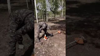 Мотокоса STIHL FS 250. Экстримальная эксплуатация. Пилим сосны 👍