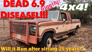 Dead! 1986 F250 diesel! Will it run?