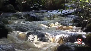 Dam removal across the Commonwealth