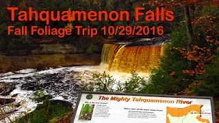 Fall Foliage Trip: Tahquamenon Falls (Lower + Upper + Hiking Trail)