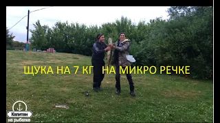 ТАКИХ ЩУК МЫ ЕЩЕ НЕ ЛОВИЛИ! ЩУКА НА 7 КГ НА МИКРО РЕЧКЕ