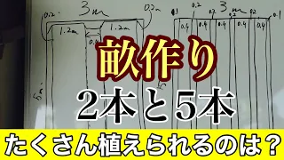 貸し農園や家庭菜園で初心者がやりがちな畝作りの失敗例・その原因と対策を解説：2021年9月27日