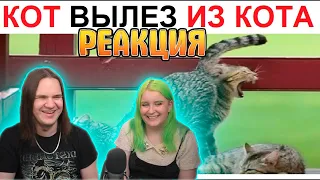 200 Мемов. Кот вылез из кота??? Штаа??? | РЕАКЦИЯ НА Max Maximov |