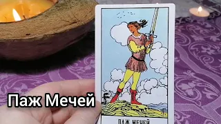 Значение карт Таро: Паж Мечей