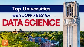 5 Universities With Low Fees & High ROI For MS in Data Science | Masters in USA | Fall 2024