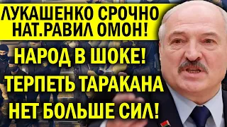 ЛУКАШЕНКО НАТ.РАВИЛ ОМ.ОН НА НАРОД! СИТУАЦИЯ КРИТИЧЕСКАЯ - БЕЛАРУСЬ ЛИХОРАДИТ!