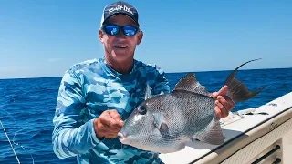 Catch, Clean, Cook Triggerfish with Don Dingman!