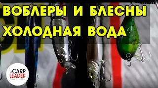 Воблеры и блесны для холодной воды, ТОП Карплидер