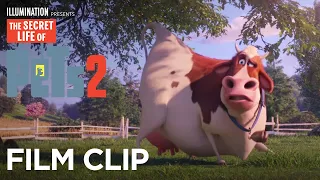 The Secret Life Of Pets 2 | Clip: Cow Taunts - Now on 4K, Blu-ray, DVD & Digital | Illumination