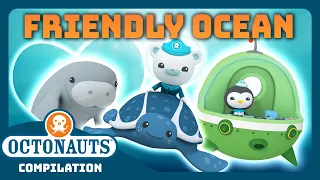 @Octonauts - 🫶 FRIENDLY Ocean 🪸 | 3 Hours+ Full Episodes Marathon | Underwater Sea Education