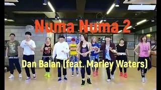 I LOVE ZUMBA / 스트릿 댄서들의 첫 줌바영상 / Numa Numa 2 - Dan Balan (feat. Marley Waters)