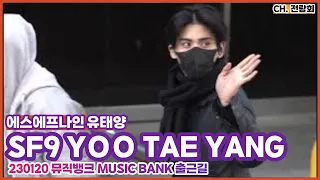 230120 #뮤직뱅크 #에스에프나인 #유태양 #SF9 #YOOTAEYANG 출근길 FANCAM