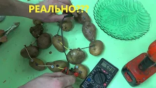 ЭЛЕКТРИЧЕСТВО ИЗ КАРТОХИ!!!ELECTRICITY FROM POTATOES!!!