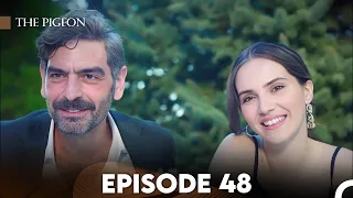 The Pigeon Episode 48 (FULL HD) - FINAL