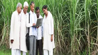 How To Manufacturing Sugar From Sugarcane In Sugar Mill With All Process , sugarcane production 2023