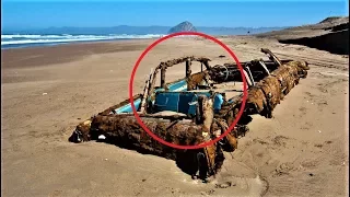 MOST Bizarre Beach Finds