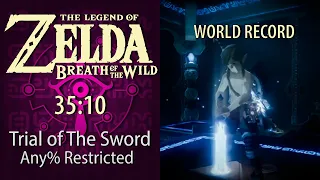 (Former WR) Trial of the Sword Speedrun in 35:10 - The Legend of Zelda: Breath of the Wild