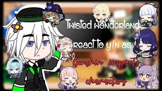 Twisted wonderland react to y/n as Genshin impact’s girls || Part 2 || Y/n’s harem ||