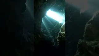 Would you survive this cave dive? #shorts