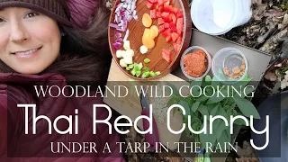 Thai Red Curry In The Rain Under A Tarp! | Woodland Wild Cooking & Some Random Thoughts On Happiness