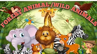 Forest Animals  For Kids ||Wild Animals ||