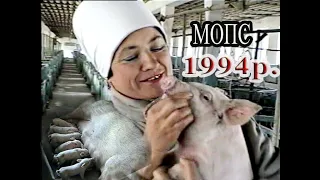 1994р Як працювали і відпочивали працівники МОПС с  Савинці