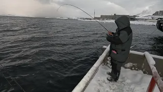 ВПЕРВЫЕ ЛОВЛЮ ЗИМОЙ С ПРИЧАЛА / FOR THE FIRST TIME I CATCH IN WINTER FROM THE PIER