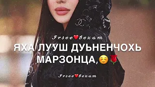 Песня На день рождения! Дал декъал йойла!❤️