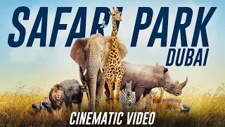 Explore Dubai Safari Park - Cinematic Video 4K!