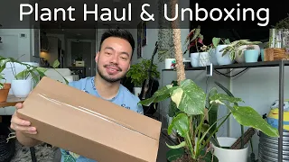 Unboxing & Reaction to My New Variegated Monstera | Houseplant Haul