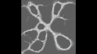 Slime Mold Algorithm Daniela Souleva Jonathan Schill