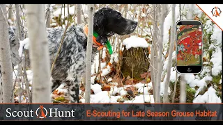 E Scouting with Scout-N-Hunt for Late Season Grouse Hunting