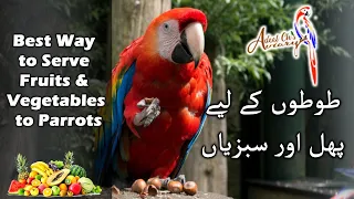 Fruits and vegetables for parrots
