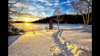 Enchanting Beauty of Winter Nature