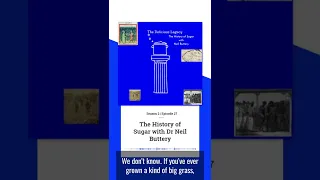 History of Sugar -Trailer