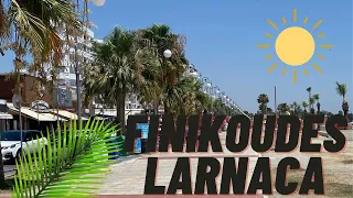 Finikoudes, , Larnaca, Cyprus
