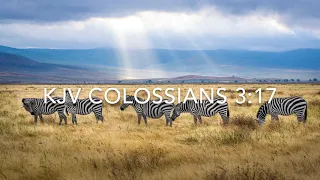 KJV Colossians 3:17 | Scripture Song