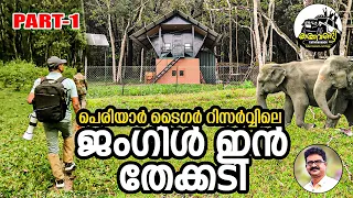 "Jungle Inn"പെരിയാർടൈ​ഗർറിസർവ്വിൽ വന്യമൃ​ഗങ്ങൾക്കൊപ്പം താമസിക്കാം/PART1#thekkady #jungleinn