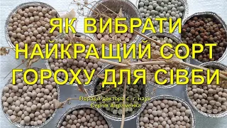 Як вибрати найкращий сорт гороху для сівби