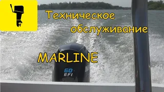 Техническое обслуживание Marline 60EFI