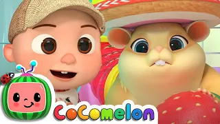 Lost Hamster - The Class Pet + @CoComelon  & Kids Songs | Moonbug Kids