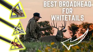 Best Broadhead Choice for Bowhunting Whitetails! Afflictor Broadheads