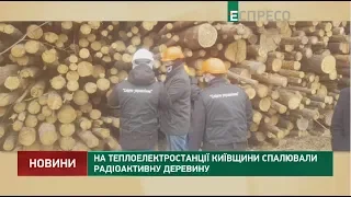 На теплоэлектростанции Киевской области сжигали радиоактивную древесину
