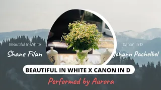 Beautiful In White (Shane Filan) x Canon In D (Johann Pachelbel) - Performed by Aurora