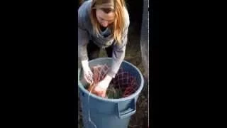 HayWeyer Slow Feeder DIY Safe, Cheap, Easy, Portable Horse Hay Net Bucket